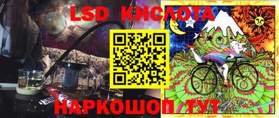 бошки Кингисепп